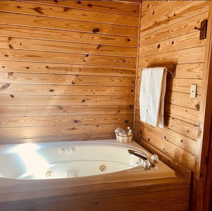 Rustic Black Bear Cabin Pigeon Forge Kültér fotó
